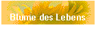 Blume des Lebens